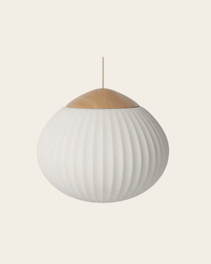 Globe Pendant Light